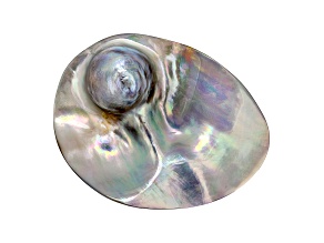 Cultured Saltwater Blister Pearl 46.5x36.5mm