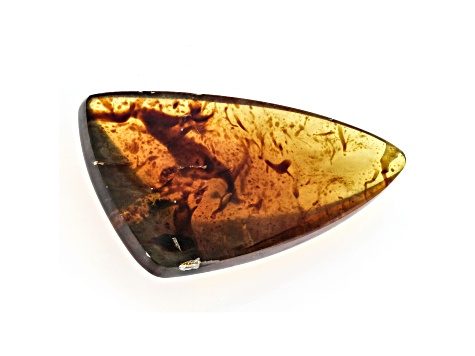 Sumatran Amber 50x27.5mm Triangle Cabochon 30.55ct