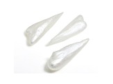 Natural Tennessee Freshwater Pearl Wing Shape Set of 3 3.22ctw