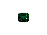 Green Sapphire Loose Gemstone 11.2x9.3mm Cushion 7.03ct