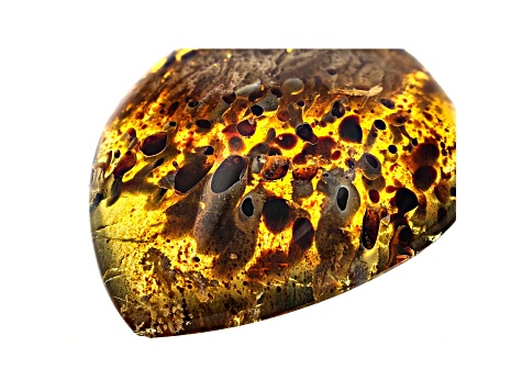 Sumatran Amber 39.6x28.8mm Pear Shape Cabochon 18.50ct