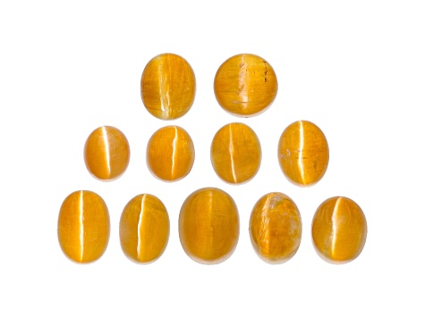 Fire Opal Cat's Eye Oval Set of 11 7.22ctw