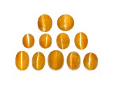 Fire Opal Cat's Eye Oval Set of 11 7.22ctw