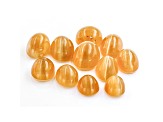 Fire Opal Cat's Eye Oval Set of 11 7.22ctw