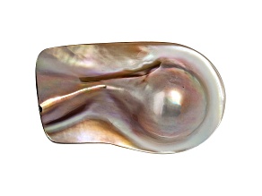 Cultured Saltwater Blister Pearl 43x26mm