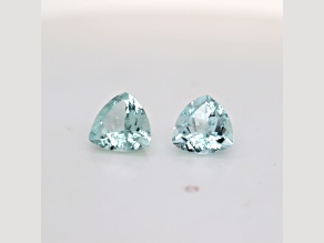 Special Color Greenish Aquamarine Trillion Cut Pair 10mm, 5.56ctw
