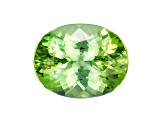 Green Tourmaline 8.5x6.7mm Oval 1.70ct