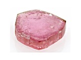 Pink Tourmaline 18.3x17mm Free-Form Polished Slice 14.00ct