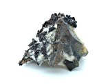 Canadian Spinel Twinned Silver Crystals 5x4.2cm Specimen