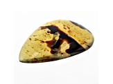 Sumatran Amber 51x34.5mm Pear Shape Cabochon 26.23ct