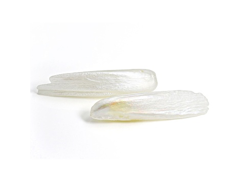 Natural Tennessee Freshwater Pearl Wing Shape Pair 14.36ctw