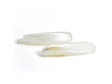 Natural Tennessee Freshwater Pearl Wing Shape Pair 14.36ctw
