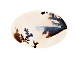 Dendritic Agate 76x52mm Oval Tablet 119.98ct