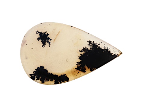 Dendritic Agate 61x37.5mm Pear Shape Tablet 41.85ct