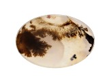 Dendritic Agate 49x33.5mm Oval Tablet 41.96ct