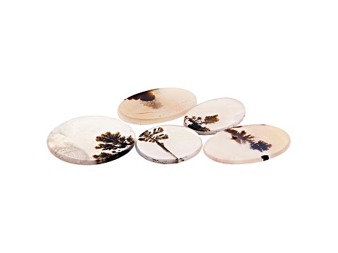 Dendritic Agate Mixed Shape Tablet Set of 5 78.08ctw