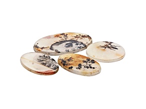 Dendritic Agate Mixed Shape Tablet Set of 4 92.79ctw