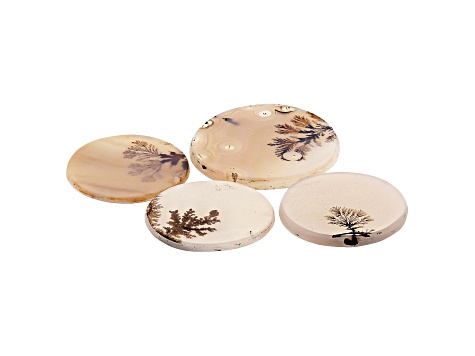 Dendritic Agate Round Tablet Set of 4 55.81ctw