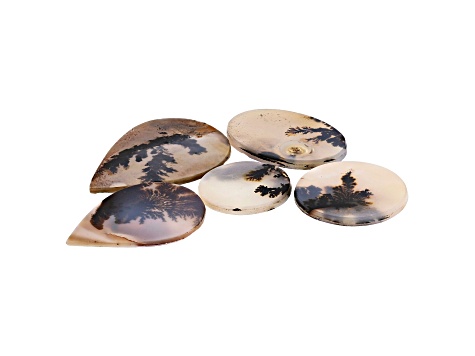 Dendritic Agate Mixed Shape Tablet Set of 5 63.04ctw