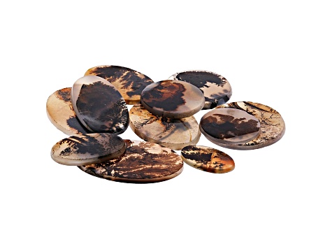 Dendritic Agate Round and Oval Tablet Set of 11 166.86ctw - AG380 | JTV.com
