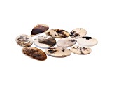 Dendritic Agate Mixed Shape Tablet Set of 10 142.46ctw