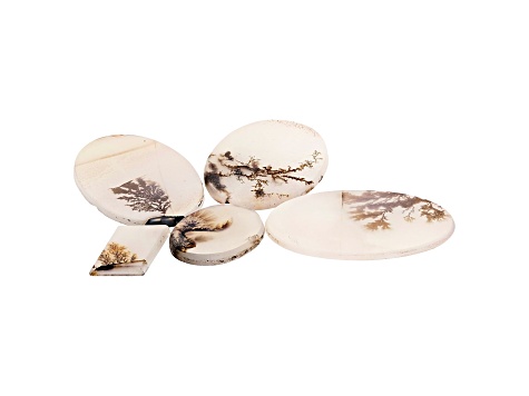 Dendritic Agate Mixed Shape Cabochon Set of 5 55.77ctw