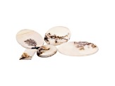 Dendritic Agate Mixed Shape Cabochon Set of 5 55.77ctw