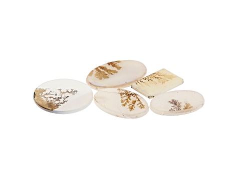 Dendritic Agate Mixed Shape Cabochon Set of 5 45.55ctw