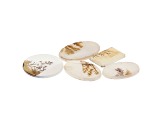 Dendritic Agate Mixed Shape Cabochon Set of 5 45.55ctw