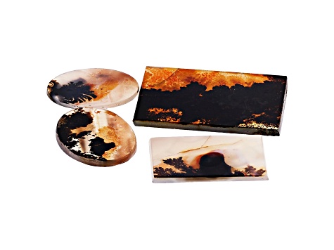 Dendritic Agate Rectangle and Round Cabochon Set of 4 75.69ctw