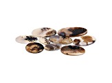 Dendritic Agate Oval Cabochon Set of 9 109.79ctw