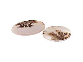 Dendritic Agate Round and Oval Cabochon Set of 2 32.78ctw