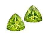 Vesuvianite 4mm Trillion Set .40ctw