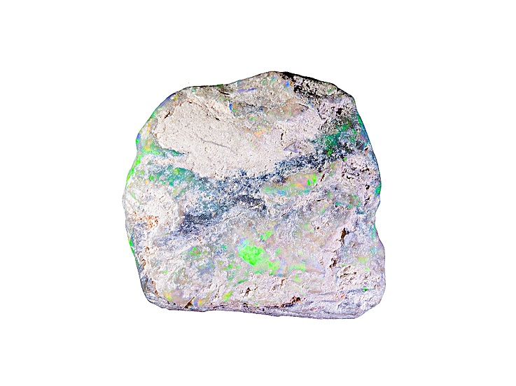 Multicolor Opalised Plant Fossil Free Form