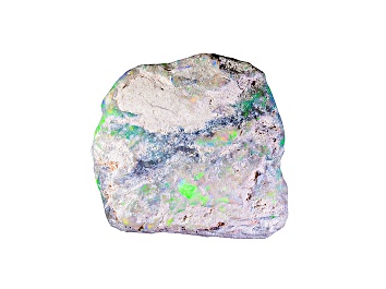 Picture of Multicolor Opalised Plant Fossil Free Form