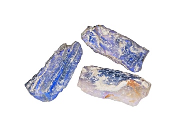 Picture of Opalised Plant Fossil Large Size Free Form Set