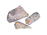 Opalised Plant Fossil Large Size Free Form Set