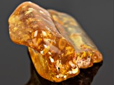 Copal Rough With insects Free Form 200.00ct