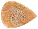Coral Petrified 30x22mm Pear Shape Cabochon 15.00ct