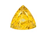 Yellow Danburite 14mm Trillion 10.44ct