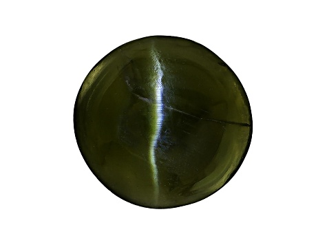 Chrome Diopside Cats Eye Round Cabochon .50ct