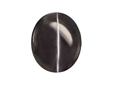 Sillimanite Cats Eye 11.85x9.9mm Oval Cabochon 7.69ct