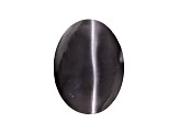 Sillimanite Cats Eye 12.61x9.3mm Oval Cabochon 6.18ct
