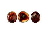 Fire Agate Mixed Shape And Size Cabochon 31.81tw Set of 3