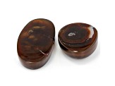 Fire Agate Mixed Shape Cabochon 20.27tw Set of 2