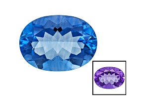 Blue Fluorite Color Shift 18x13mm Oval 13.00ct