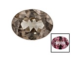 Garnet Color Change 8x6mm Oval 1.34ct