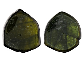 Tourmaline Rough Slices 2 Piece Set Appx 30 Cts