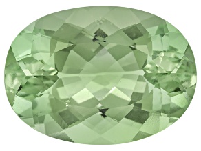 Prasiolite 18x13mm Oval 10.70ct