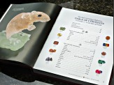 Sisk Gemology Reference Book, Gallery of Gems with 300ctw Natural and Synthetic Gemstone Parcel